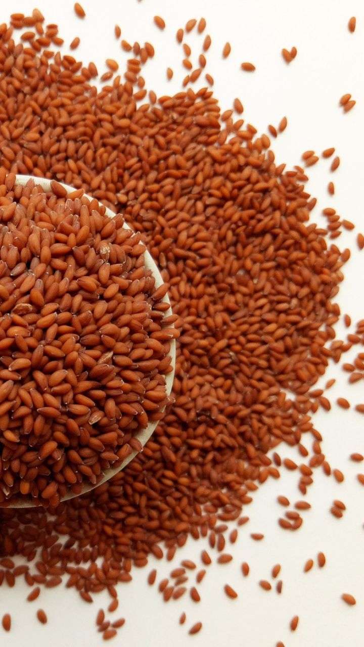 Alvi Seeds