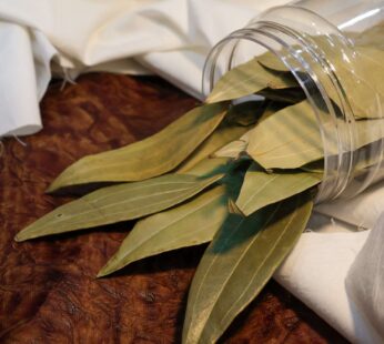 Bay Leaf / Biryani Patta